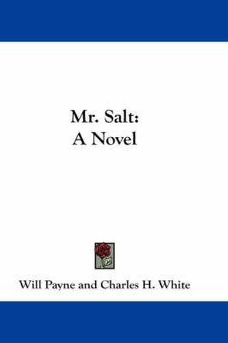 Cover image for Mr. Salt