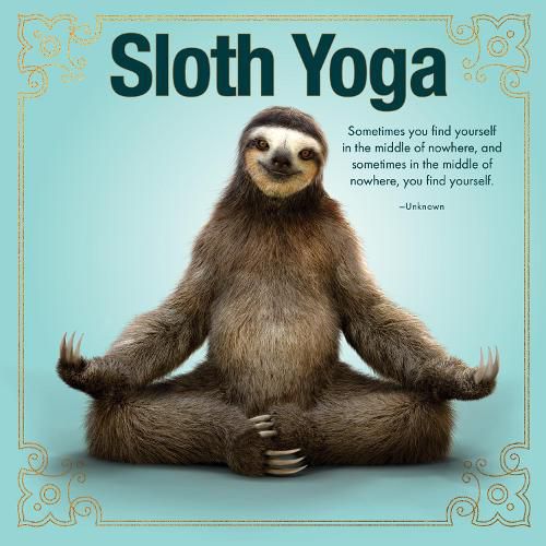 Cover image for Sloth Yoga