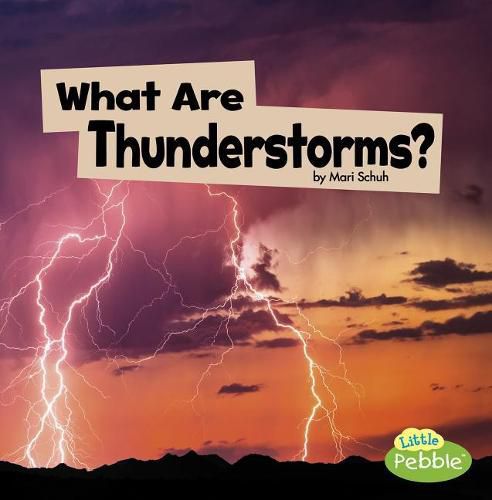 Cover image for What Are Thunderstorms?