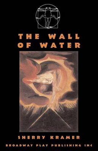 Cover image for The Wall of Water