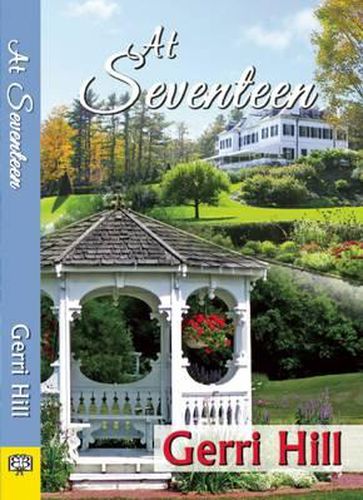 Cover image for At Seventeen Hill