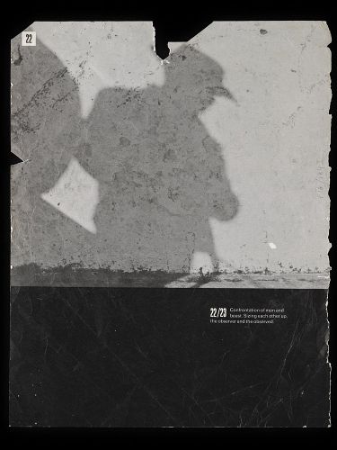 Cover image for Francis Bacon's Library