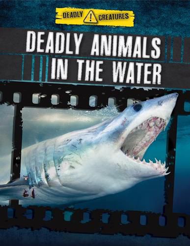 Deadly Animals in the Water