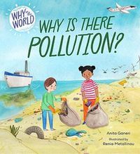 Cover image for Why in the World: Why is there Pollution?