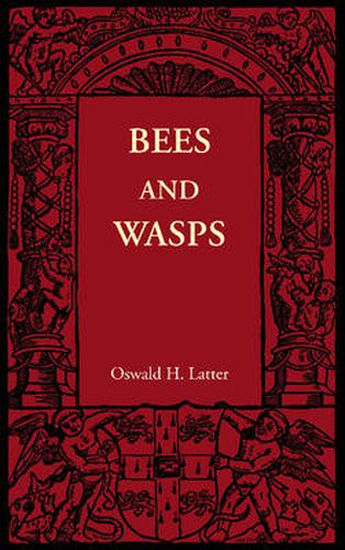 Cover image for Bees and Wasps