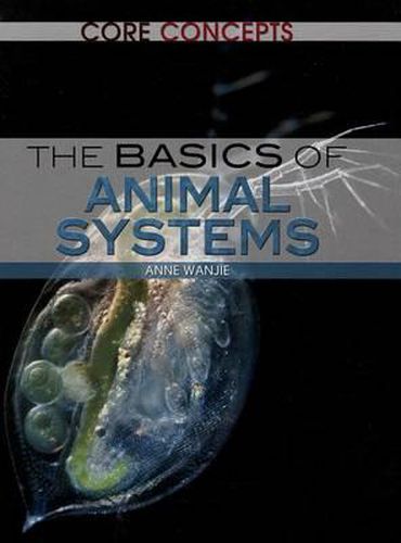 Cover image for The Basics of Animal Systems