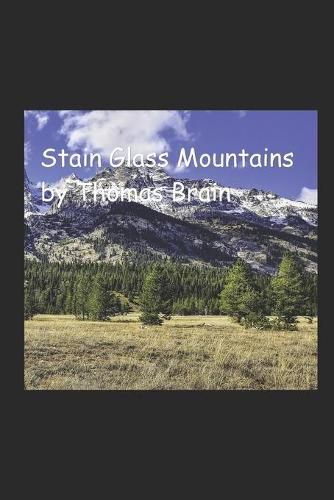 Cover image for Stain Glass Mountains