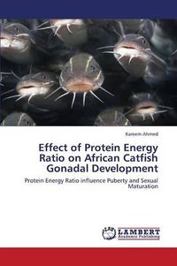 Cover image for Effect of Protein Energy Ratio on African Catfish Gonadal Development