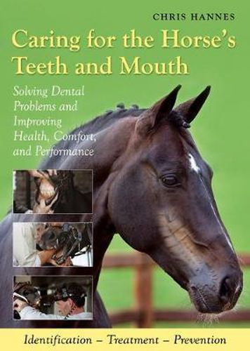 Cover image for Caring for the Horse's Teeth and Mouth: Solving Dental Problems, and Improving Health, Comfort and Performance