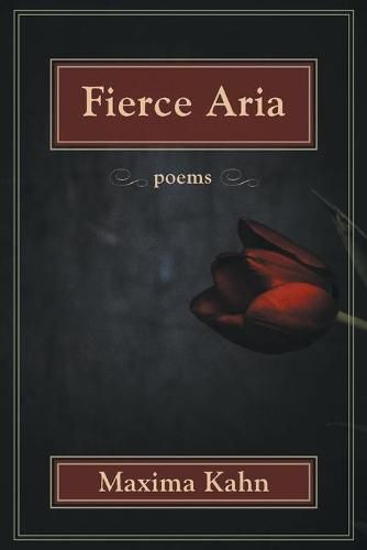 Cover image for Fierce Aria