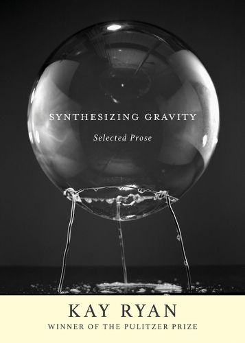 Cover image for Synthesizing Gravity: Selected Prose