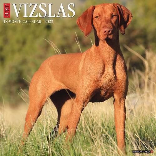 Cover image for Just Vizslas 2022 Wall Calendar (Dog Breed)