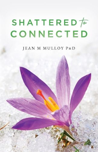 Cover image for Shattered to Connected