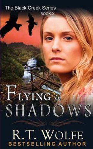 Cover image for Flying in Shadows (The Black Creek Series, Book 2)