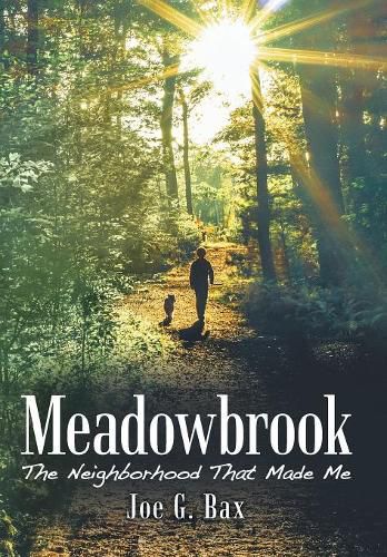 Cover image for Meadowbrook: The Neighborhood That Made Me