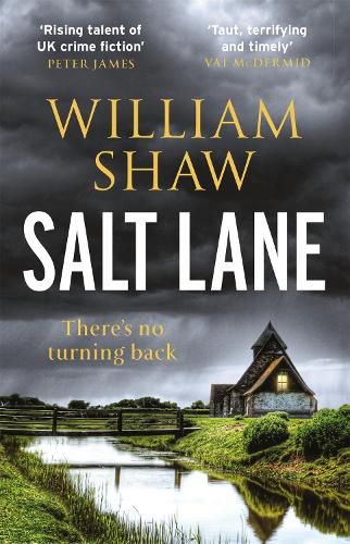 Cover image for Salt Lane: the superb first book in the DS Alexandra Cupidi Investigations