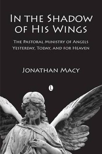 Cover image for In the Shadow of his Wings: The Pastoral Ministry of Angels: Yesterday, Today, and for Heaven