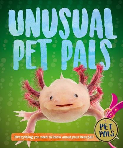 Cover image for Unusual Pet Pals