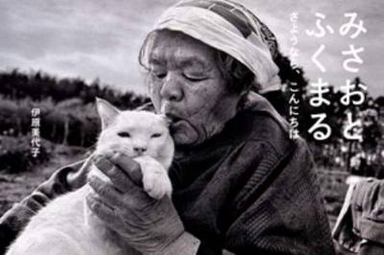 Cover image for Miyoko Ihara - Misao the Big Mama and Fukumaru the Cat