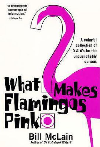 Cover image for What Makes Flamingos Pink?: A Colorful Collection of Q & A's for the Unquenchably Curious