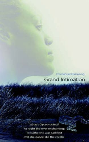 Cover image for Grand Intimation