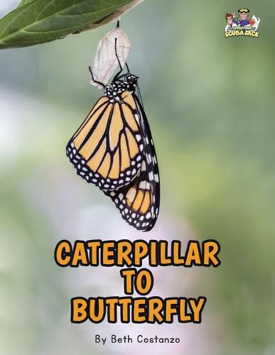 Cover image for Letter C - Caterpillar to Butterfly for Kids 3-8