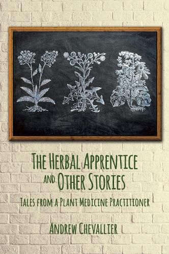 Cover image for The Herbal Apprentice and Other Stories