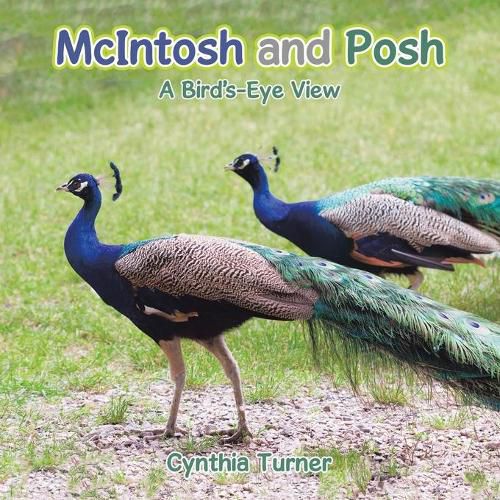 Cover image for McIntosh and Posh: A Bird's-Eye View