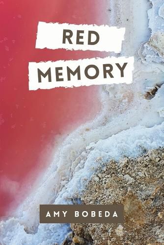 Cover image for Red Memory