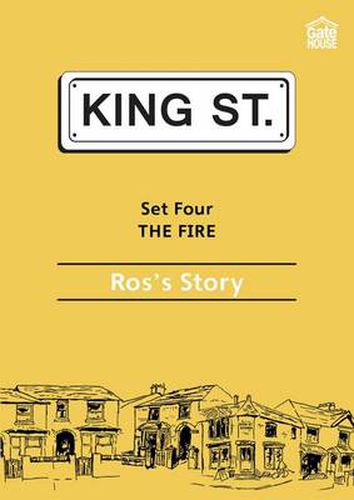 The Fire: Ros's Story: Set 4: Book 5