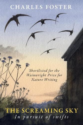 Cover image for The Screaming Sky: in pursuit of swifts