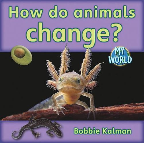 Cover image for How Do Animals Change?