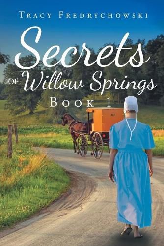 Cover image for Secrets of Willow Springs: Book 1