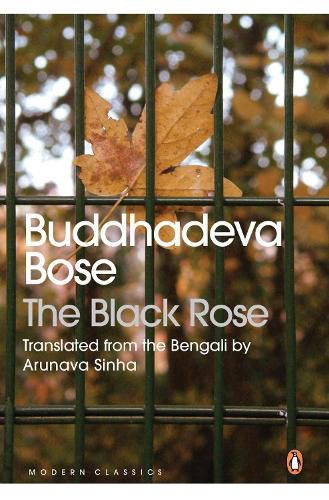 Cover image for The Black Rose