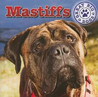 Cover image for Mastiffs