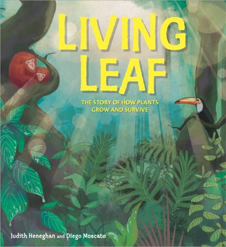 Cover image for Plant Life: Living Leaf: The Story of How Plants Grow and Survive