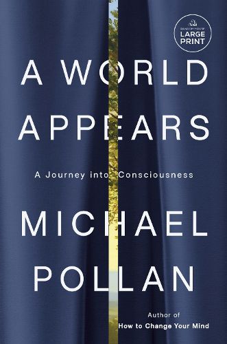 Cover image for A World Appears