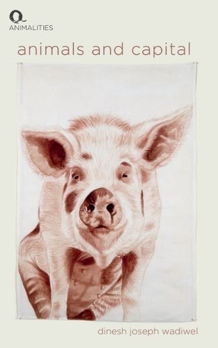 Cover image for Animals and Capital