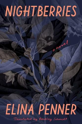 Cover image for Nightberries