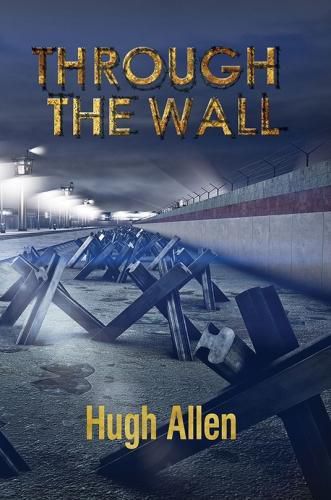 Cover image for Through the Wall