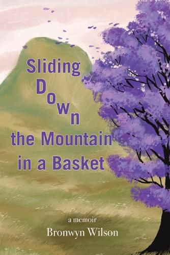 Cover image for Sliding Down the Mountain in a Basket