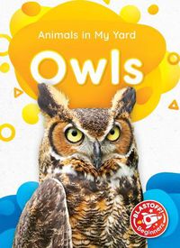 Cover image for Owls