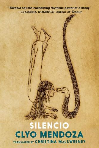 Cover image for Silencio