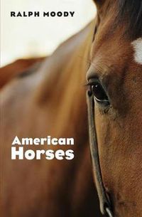 Cover image for American Horses