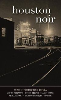 Cover image for Houston Noir