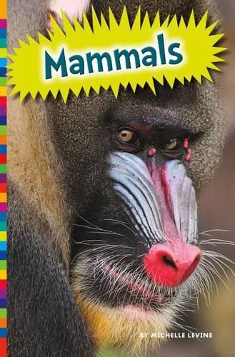 Cover image for Mammals