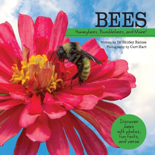 Cover image for Bees: Honeybees, Bumblebees, and More!