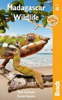 Cover image for Madagascar Wildlife