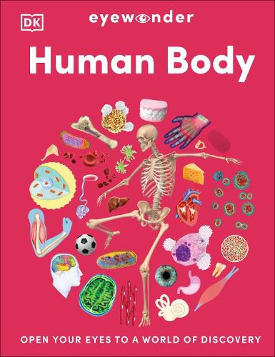 Cover image for Eyewonder Human Body