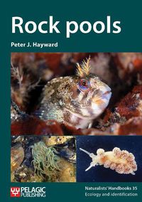 Cover image for Rock pools
